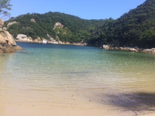 image3.JPG
