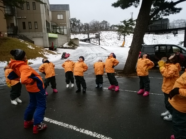 IMG_20170109_092401.jpg