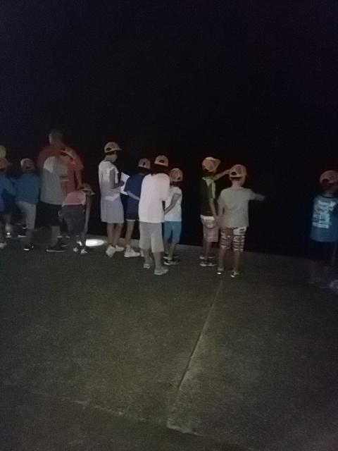 IMG_20170809_211131.jpg