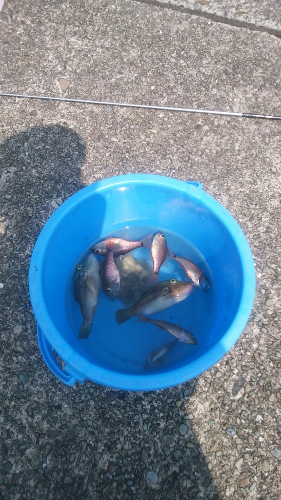 20170810103406.jpg