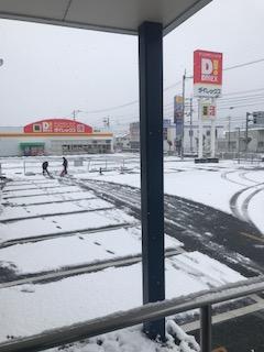 image1.jpeg