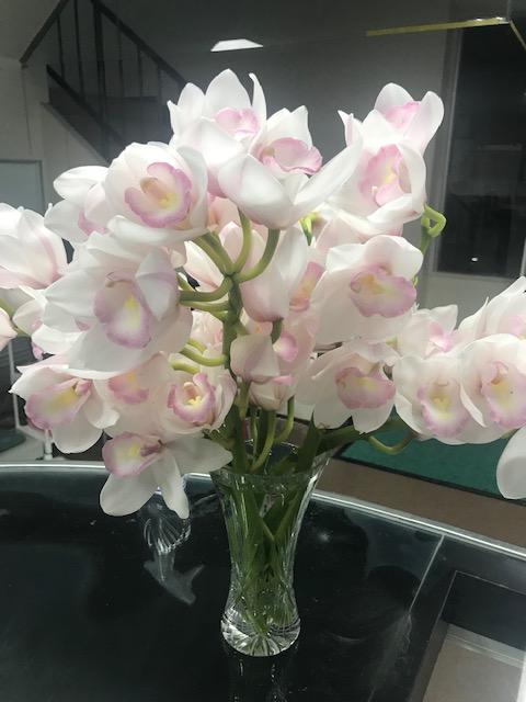 image1.jpeg