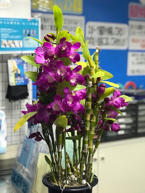 20190412_2260313.jpg