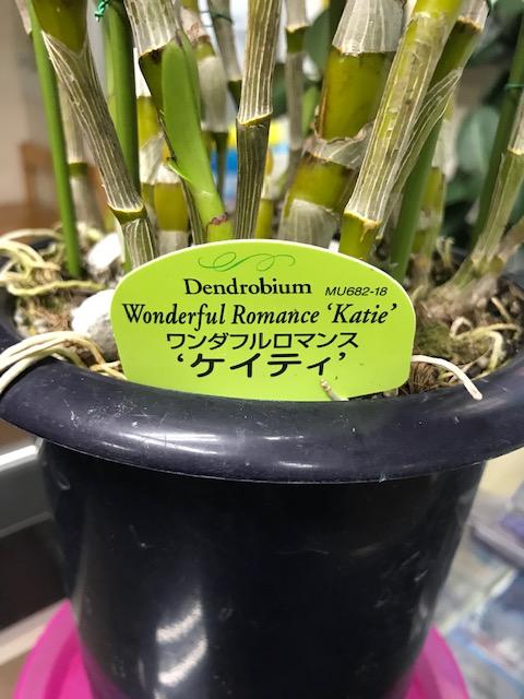 20190412_2260315.jpg