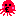 タコ