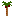 ヤシの木