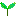 草