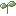草