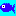 魚