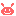ウサギ