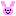 ウサギ