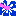 ハイビスカス